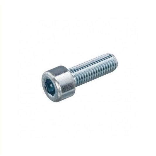 Inbusbout m10x22 per stuk