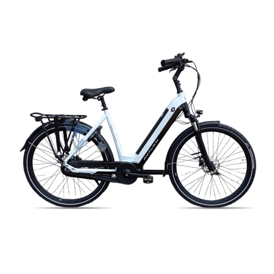 Shimano Avalon E-motive+ Ice-wit d58cm