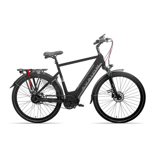 Shimano Avalon E-pro Zwart Mat h58cm